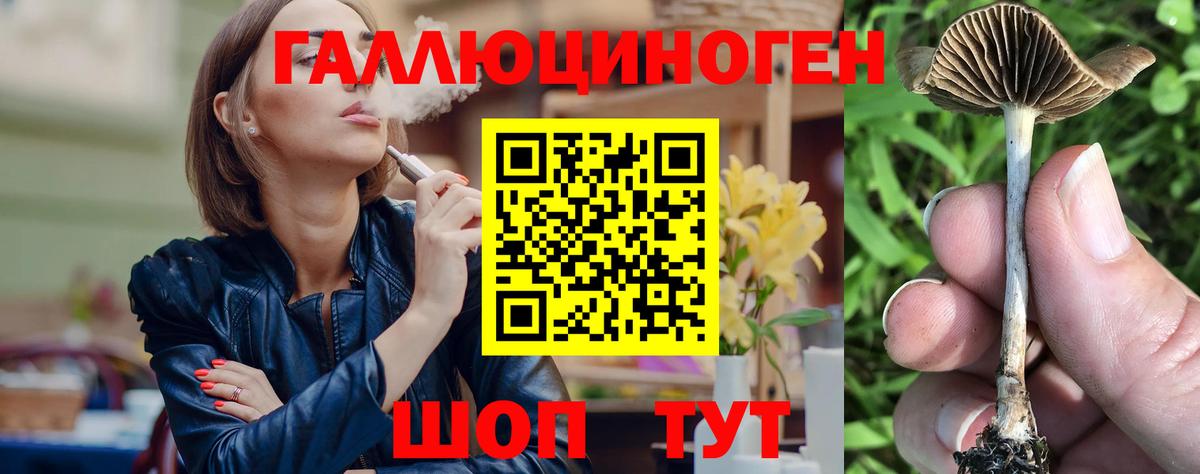 Галлюциногенные грибы Magic Shrooms Аша